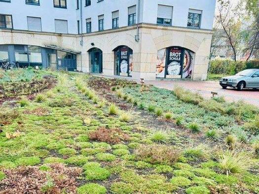 Wohnung zur Miete 475 € 1 Zimmer 37,7 m² 4. Geschoss frei ab sofort Reichelstraße 1 Zentrum-West Mitte 04109