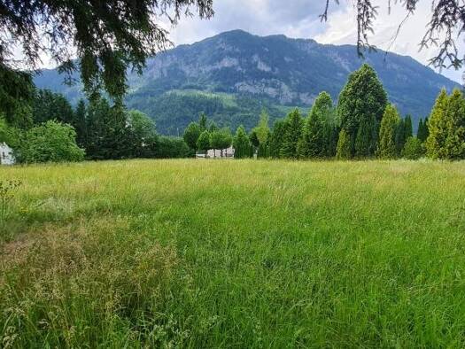 Grundstück zum Kauf 375.000 € 3.554 m² Grundstück Spital am Pyhrn 4582