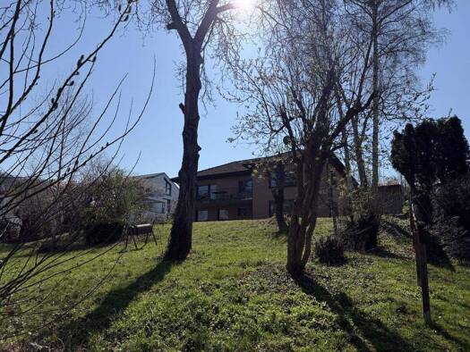 Stadthaus zum Kauf 795.000 € 6 Zimmer 199 m² 1.042 m² Grundstück Müllheim 79379