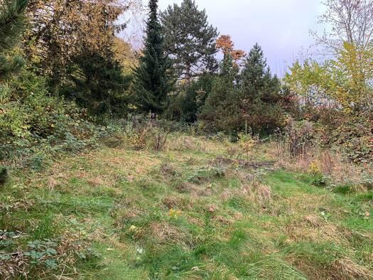 Freizeitgrundstück zum Kauf 1.600 m² Grundstück Neu-Ulm 89223