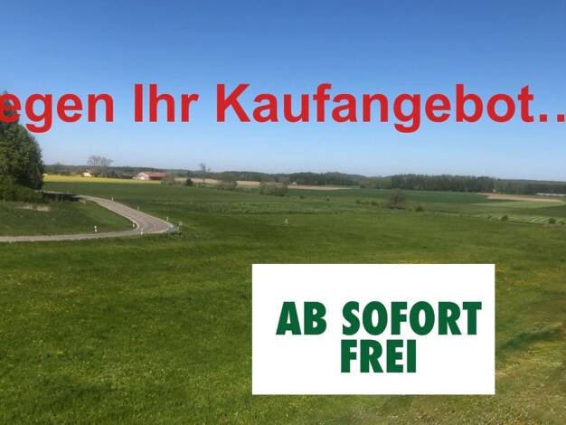 Doppelhaushälfte zum Kauf 9 Zimmer 165 m² 415 m² Grundstück Unterdießen Unterdießen 89944