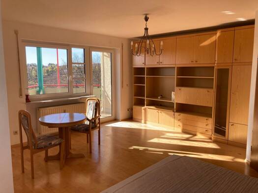Wohnung zur Miete 450 € 1 Zimmer 40 m² Geschoss -1/3 frei ab sofort Innenstadt Hof 95030