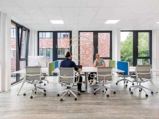 Bürokomplex zur Miete provisionsfrei 500 m² Bürofläche teilbar ab 1 m² Ravensberg Kiel 24118