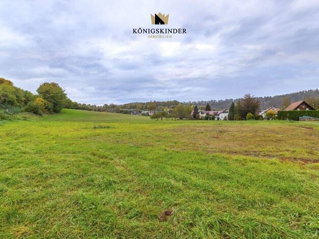 Grundstück zum Kauf provisionsfrei 245.000 € 1.000 m² Grundstück Sulzau Starzach 72181