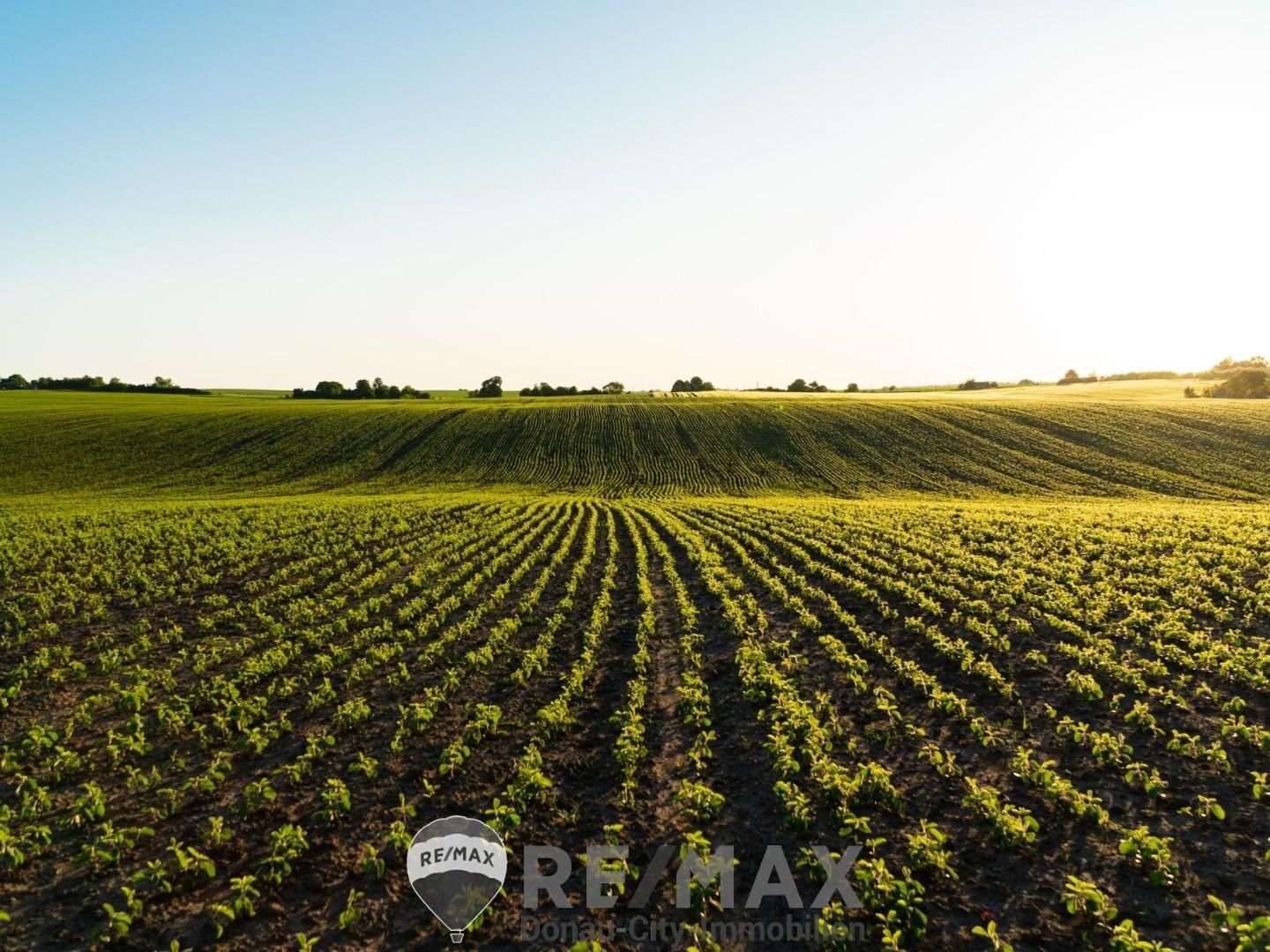 Landwirtschaftliche Fläche zum Kauf 538.000 € 21.500 m²<br/>Grundstück Himberg 2325