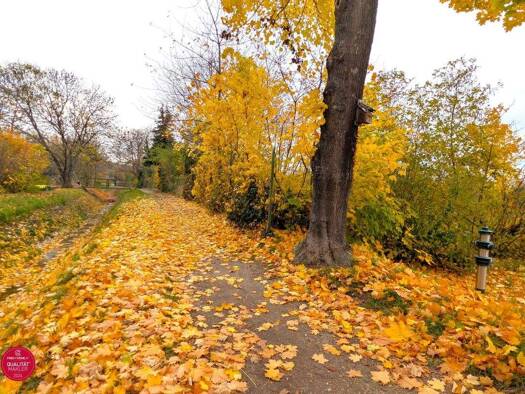 Grundstück zum Kauf 180.000 € 770 m² Grundstück Retz 2070