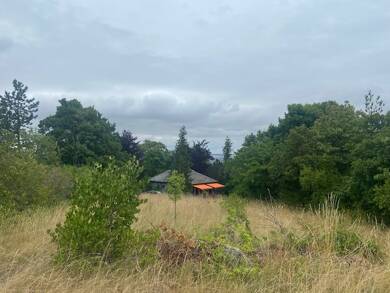 Grundstück zum Kauf 150.000 € 9.874 m² Grundstück Arnstadt Arnstadt 99310