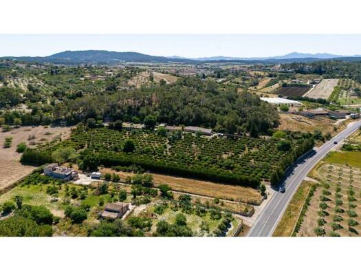 Acker-/Waldstück zum Kauf 599.000 € Sant Joan 07240