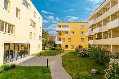 Wohnung zur Miete 525 € 1 Zimmer 29,1 m² EG frei ab 01.02.2025 Bücklestraße 82 Petershausen-West Konstanz 78467