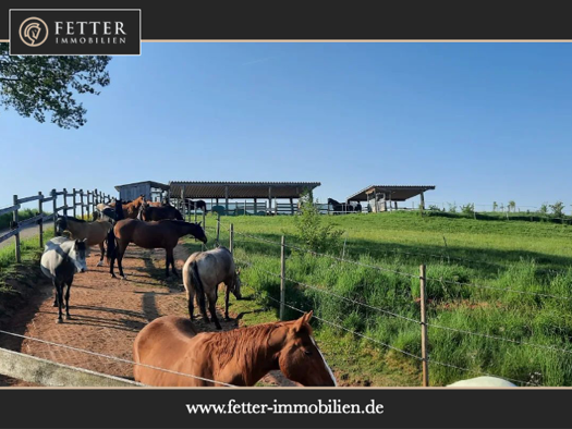 Reiterhof zum Kauf 1.690.000 € 161 m² 66.409 m² Grundstück Wartenberg-Rohrbach 67681