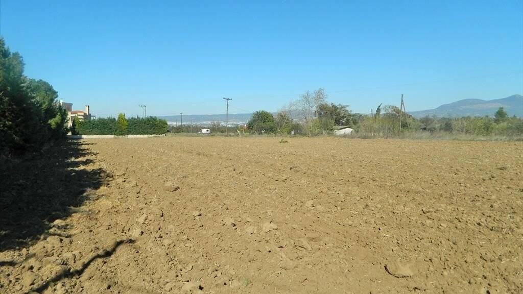 Land-/Forstwirtschaft zum Kauf 330.000 € Thessaloniki
