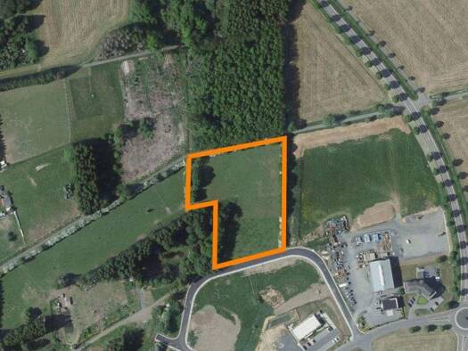 Gewerbegrundstück zum Kauf 520.000 € 10.017 m² Grundstück Bad Marienberg 56470