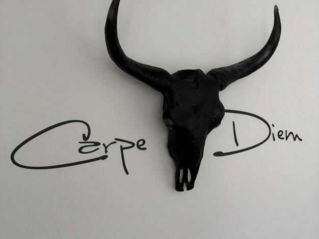 Wohnung zur Miete Wohnen auf Zeit 1.290 € 2 Zimmer 58 m² frei ab sofort Mölkau Leipzig 04316