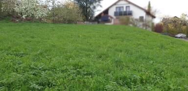 Einfamilienhaus zum Kauf 859.710 € 5,5 Zimmer 145 m² 378 m² Grundstück Sondelfingen Reutlingen-Sondelfingen 72766