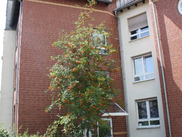 Wohnung zur Miete 598 € 3,5 Zimmer 76,6 m² 2. Geschoss Zum Verkehrshof 11 Brambauer Lünen 44536