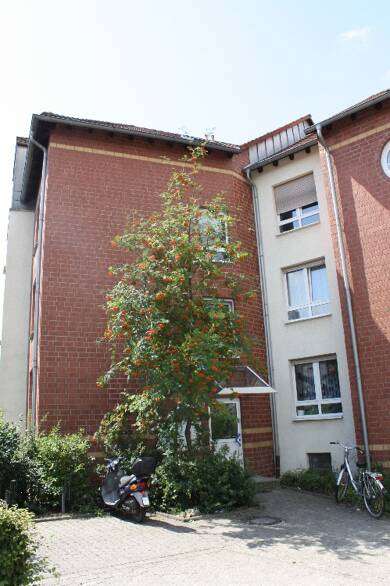 Wohnung zur Miete 598 € 3,5 Zimmer 76,6 m² 2. Geschoss Zum Verkehrshof 11 Brambauer Lünen 44536