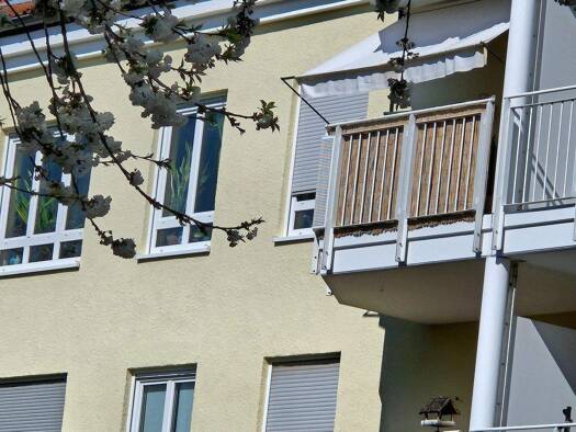Wohnung zum Kauf als Kapitalanlage geeignet 82.800 € 2 Zimmer 37 m² Weißig Ortschaft Schönfeld-Weißig 01328