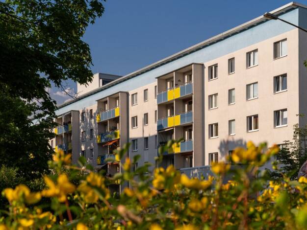Wohnung zur Miete 337 € 2 Zimmer 48,8 m² 1. Geschoss Tangermünder Straße 29 Westliche Neustadt West 06124