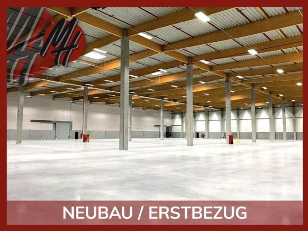 Halle/Industriefläche zur Miete - Erstbezug 4.200 m² Lagerfläche Gernsheim Gernsheim 64579