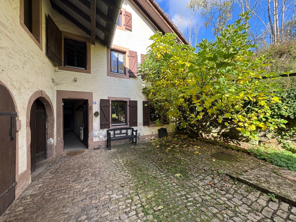 Bauernhaus zum Kauf 298.000 € 7 Zimmer 270 m²<br/>Wohnfläche 2.182 m²<br/>Grundstück Mülbach 54636