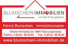 Blumschein Immobilien logo