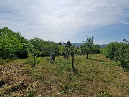 Freizeitgrundstück zum Kauf 699 m² Grundstück Tüllingen Lörrach 79541
