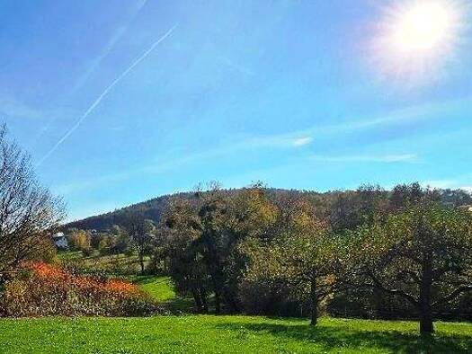 Grundstück zum Kauf 325.000 € 739 m² Grundstück Rottenberg Hösbach 63768