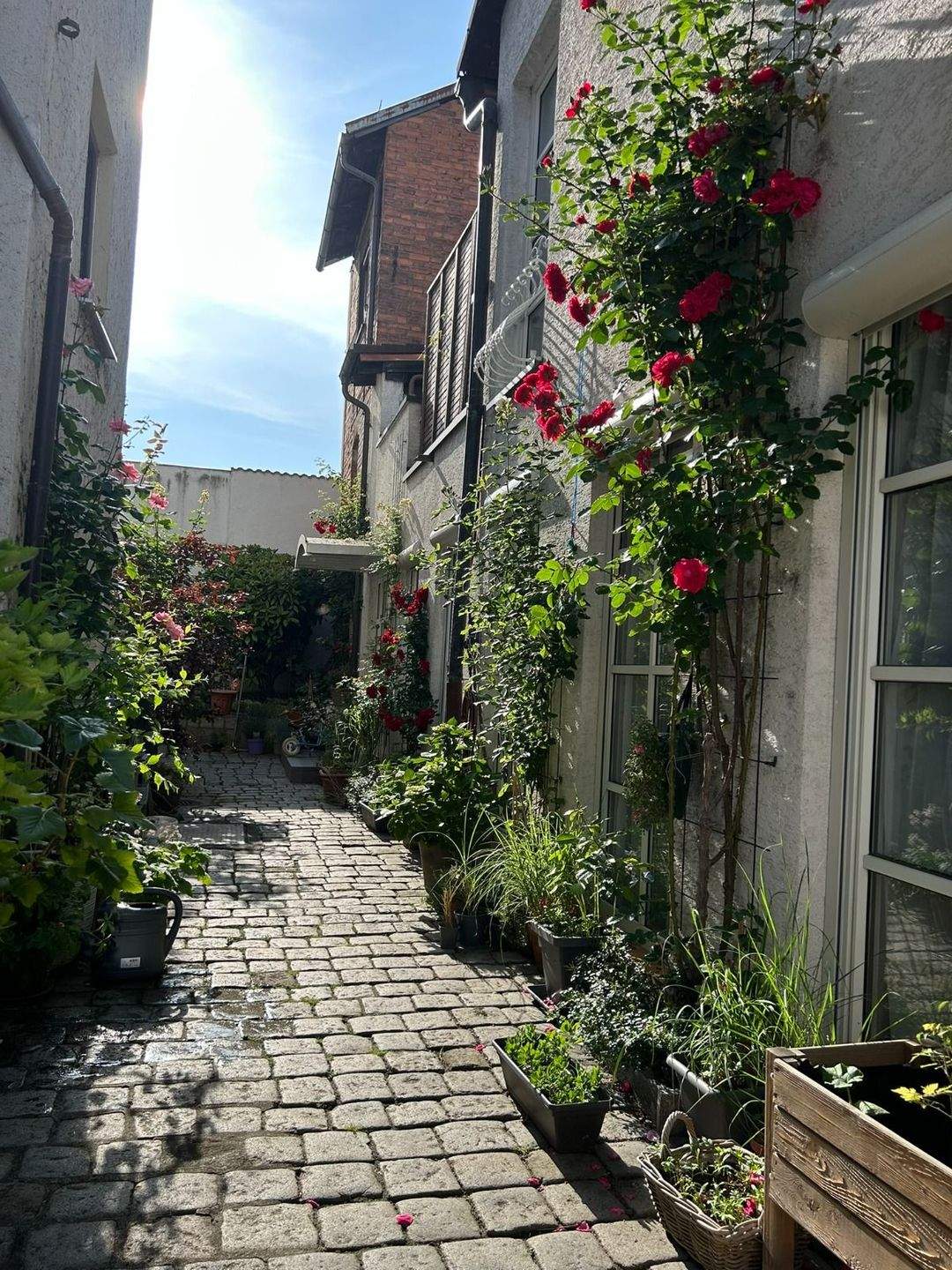 Immobilie in Baiersdorf - Geräumige Familienwohnung mit zwei Terrassen in Baiersdorf - Bild 1