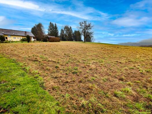 Grundstück zum Kauf 259.000 € 1.196 m² Grundstück Graz 8044