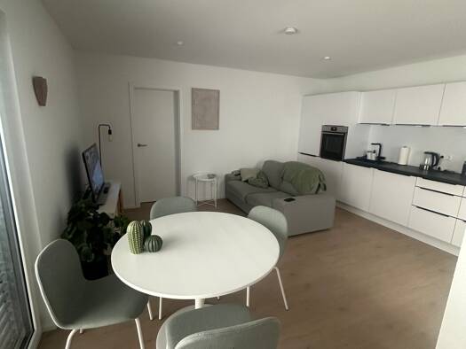 Terrassenwohnung zur Miete 720 € 2 Zimmer 48 m² Geschoss -1/1 frei ab 01.06.2026 Obereisesheim Neckarsulm 74172