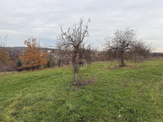 Grundstück zum Kauf 120.000 € 800 m² Grundstück Schönbrunn 96185