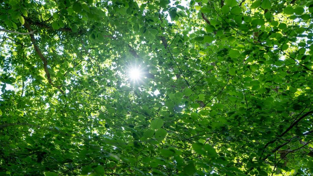 Grundstück zum Kauf 3.500.000 € 2.000 m² Grundstück Blankenese Hamburg 22587