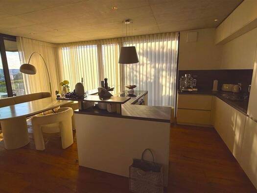 Penthouse zur Miete 4.900 € 5 Zimmer 181 m² frei ab 01.06.2026 Königsbau Konstanz 78464