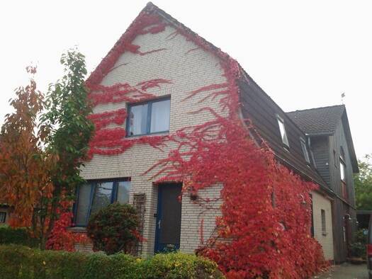 Maisonette zur Miete 790 € 4 Zimmer 87 m² Geschoss -1/2 frei ab 01.11.2026 Wattenbek 24582