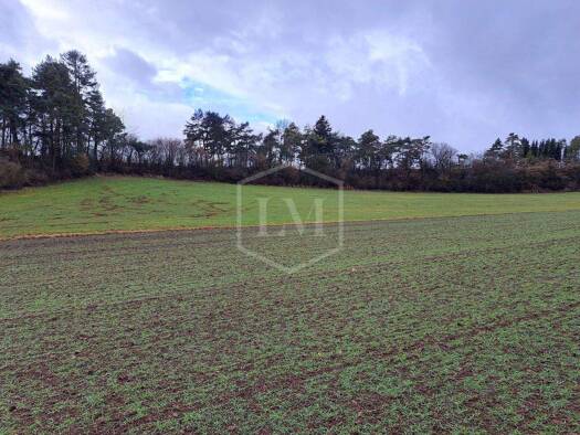 Landwirtschaftliche Fläche zum Kauf 55.000 € 18.785 m² Grundstück Mechernich 53894