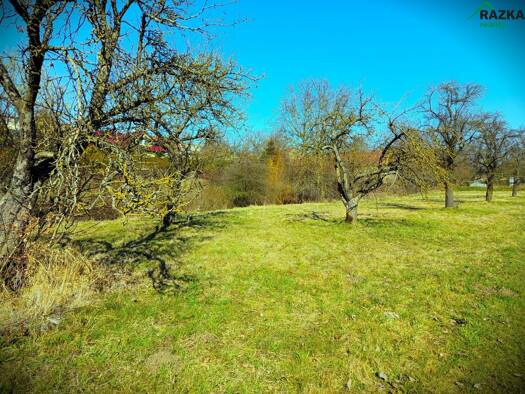 Freizeitgrundstück zum Kauf 600.000 CZK Kanice Kanice 34543