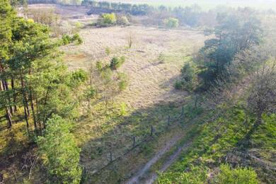 Grundstück zum Kauf 3.000 € 5.027 m² Grundstück Am Vogelstangenberg 1001 Damsdorf Kloster Lehnin 14797
