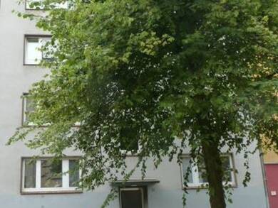 Wohnung zur Miete 465 € 1 Zimmer 38,8 m² 2. Geschoss frei ab 01.08.2025 Dubenhorst 7 Südfriedhof Kiel 24114