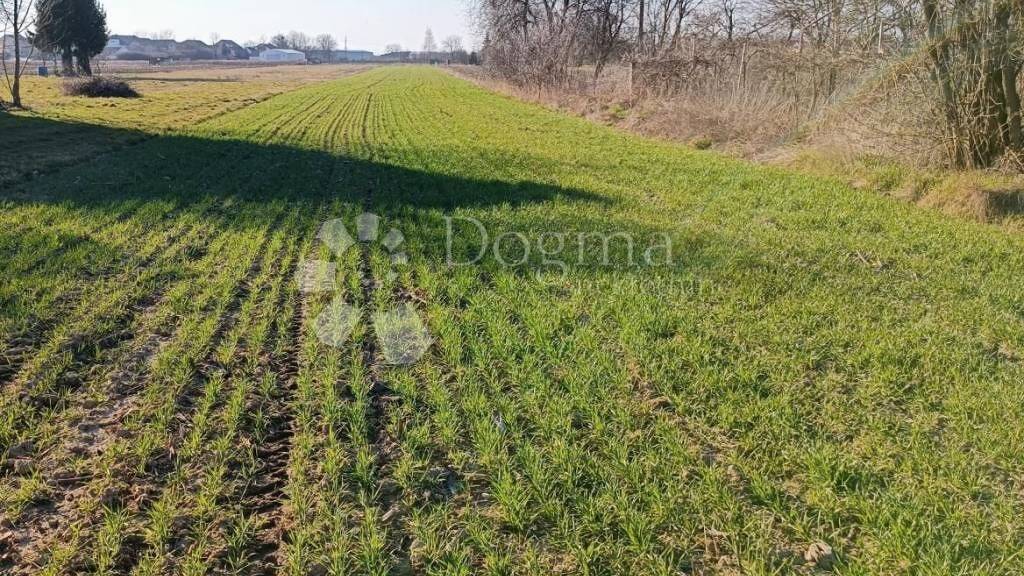 Land-/Forstwirtschaft zum Kauf 95.000 € Velika Gorica