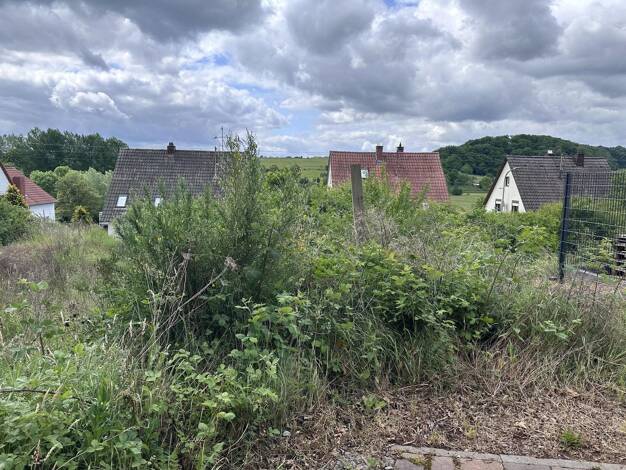 Grundstück zum Kauf 145.000 € 567 m² Grundstück Katzweiler 67734
