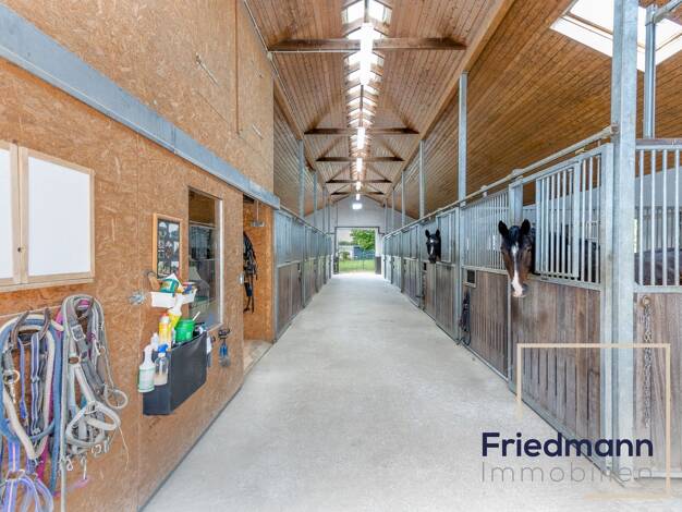 Haus zum Kauf 1.199.000 € 5 Zimmer 256 m² 8.526 m² Grundstück Niederweis Niederweis 54668