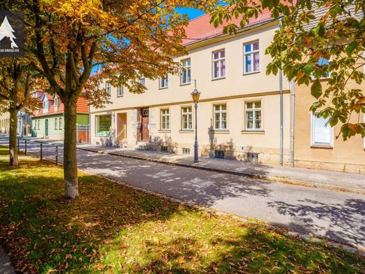 Mehrfamilienhaus zum Kauf 169.000 € 10 Zimmer 230 m² 1.390 m² Grundstück Ballenstedt 06493