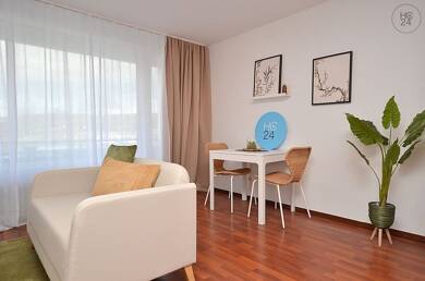 Wohnung zur Miete Wohnen auf Zeit 895 € 1 Zimmer 36 m² frei ab 01.09.2025 Frauenland Würzburg 97074