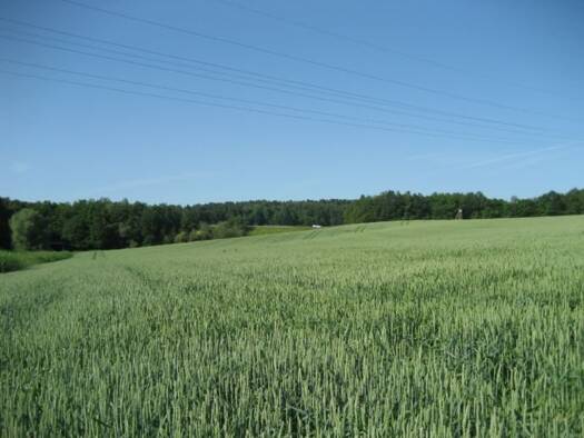 Landwirtschaftliche Fläche zum Kauf Gondorf Kobern-Gondorf 56330