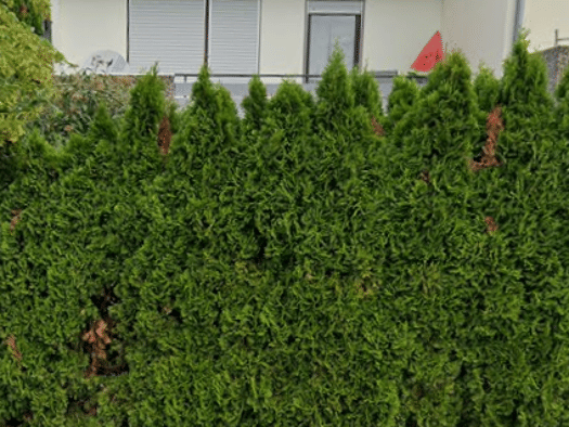 Reihenmittelhaus zum Kauf 370.000 € 5 Zimmer 120 m² 206 m² Grundstück Zittelmannstraße 12 Reudern Nürtingen 72622