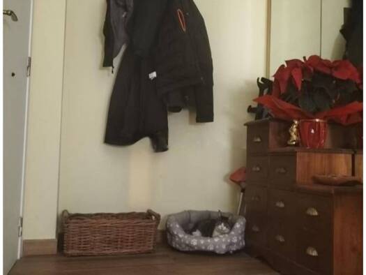 Wohnung zum Kauf 350.000 € 4 Zimmer 110 m² Barcelona 08000