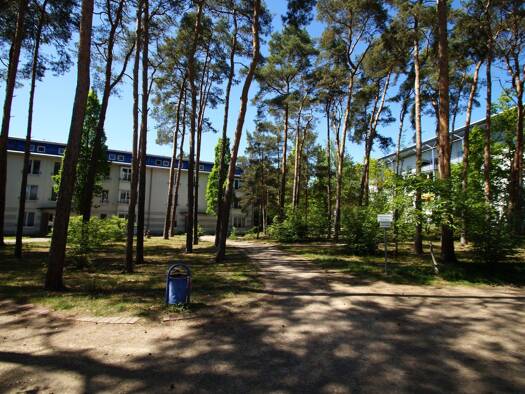 Wohnung zur Miete 470 € 2 Zimmer 71,5 m² frei ab 01.12.2025 Kranichweg 13 Jessen Jessen (Elster) 06917