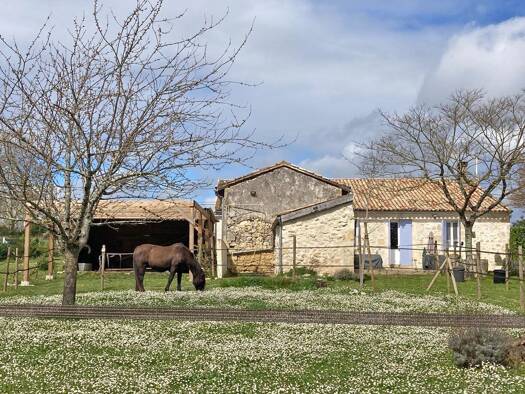 Einfamilienhaus zum Kauf 360.000 € 4 Zimmer 105 m² 17.892 m² Grundstück Saint-Émilion 3330