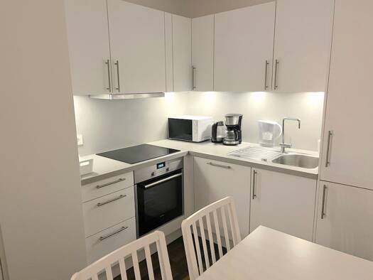 Wohnung zur Miete 1.290 € 2 Zimmer 46 m² Geschoss 3/6 frei ab sofort Krausenstraße 37 Mitte Berlin 10117