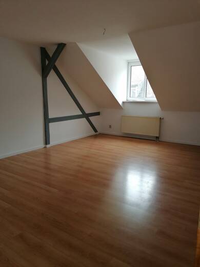Wohnung zur Miete 345 € 2 Zimmer 53 m² 3. Geschoss Wurzen Wurzen 04808
